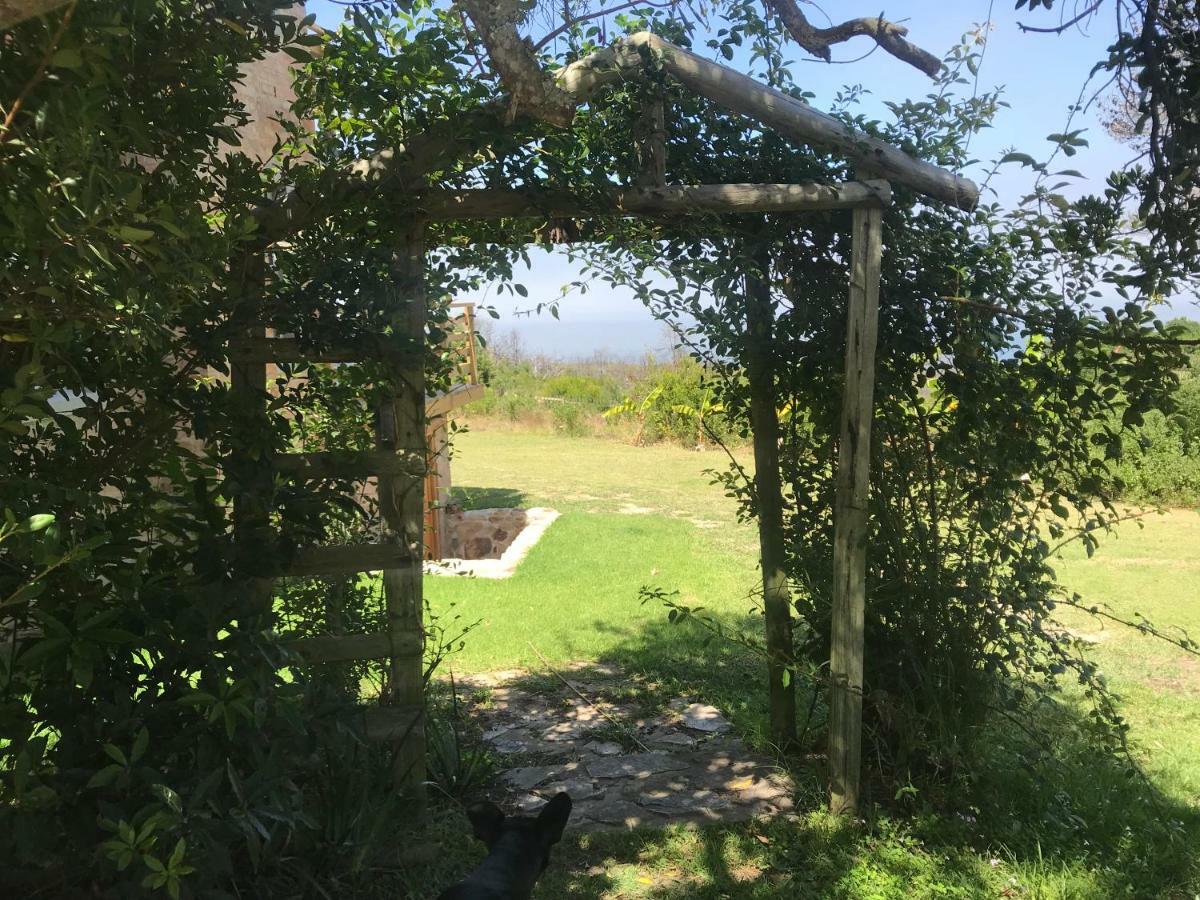 Trinity Farm Ocean View Cottage Plettenberg Bay Exterior photo